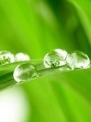   - .     ,   -    ...