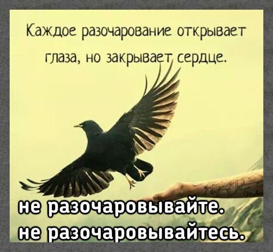☆������ �������☆ - 6 ���� 2024 � 20:35
