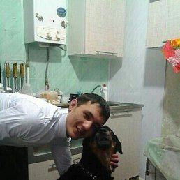 ���� ��������� �����, ������, 38 ��� - ��������� 14 ���� 2024