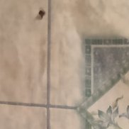 Игорь, 47 лет, Киров Игорь, 47 лет, Киров