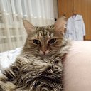 ���� �����, ������, 25 ��� - ��������� 17 ������� 2024 � ������ ���� ����������