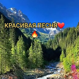 ������, ��������, 48 ���