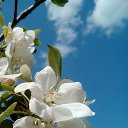 ���� �����, ������-��-���� - ��������� 6 ����� 2025 � ������ ���� ����������