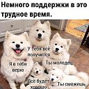 ���� ������, ��������, 54 ���� - ��������� 5 ������ 2024 � ������ ������ ��������