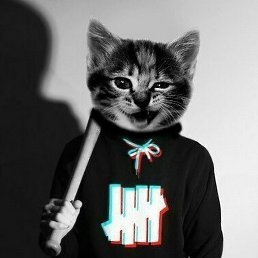 �������, ������, 27 ���