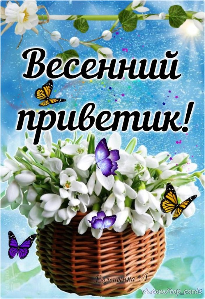 ��� ���� - 10 ����� 2026 � 11:07