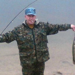 ����, ������, 73 ����