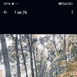 �������, ������, 46 ���
