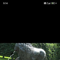 �������, ������, 55 ���