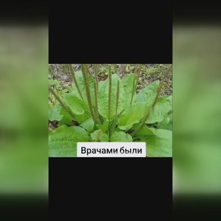 ��� ������ ����, ������� ����� ���� - 2