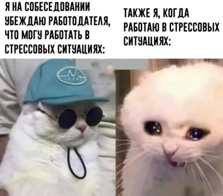    - 3  2024  11:36