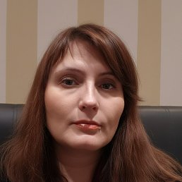 ����, 41 ���, �������