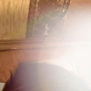 �����, 43 ����, �������