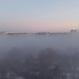 ������, ������, 49 ���