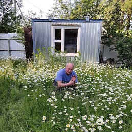 ������, ������, 56 ���