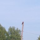 ���� ���������, ������, 45 ��� - ��������� 16 ������� 2025