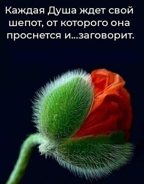  - 7  2023  22:32