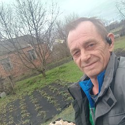 ���� �����, ������, 56 ��� - ��������� 14 ������ 2026