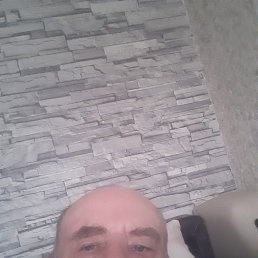 , 61, 