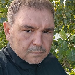 ���m���, ����������, 44 ����