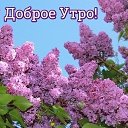 ���� �����, �����-���������, 74 ���� - ��������� 29 ��� 2026 � ������ ������ ��������