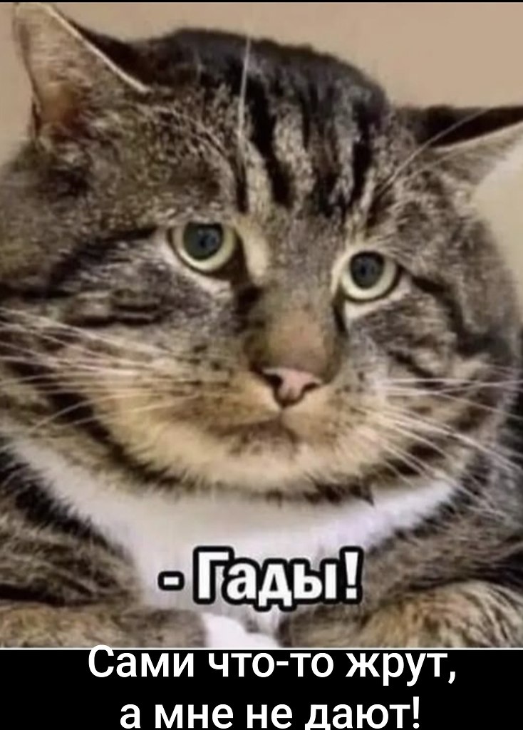 �������� ������ - 11 ���� 2026 � 01:03