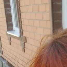 �������, ���������, 49 ���