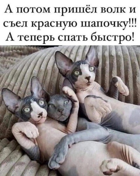   - 19  2023  19:57