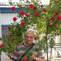 , 48, 