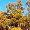 ���� ��������, ����, 74 ���� - ��������� 10 ������ 2025 � ������ ���� ����������