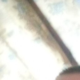 ������, ����, 49 ���