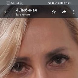 �����, ���������, 54 ����