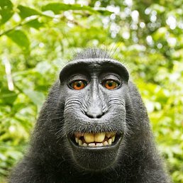 �����, ������, 59 ���