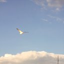 ���� ��������, ����-���, 42 ���� - ��������� 21 ���� 2025 � ������ ���� ����������
