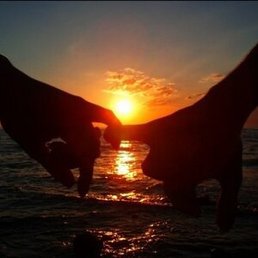 �����, �������������, 35 ���