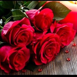 ���, ������, 23 ����