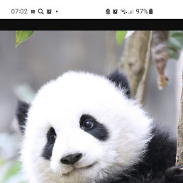 ���� Ninel, �����������, 47 ��� - ��������� 5 ���� 2024