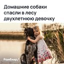 ���� �����, ������, 45 ��� - ��������� 9 ����� 2025 � ������ ���� ����������