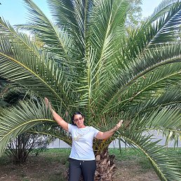 �������, ����, 60 ���