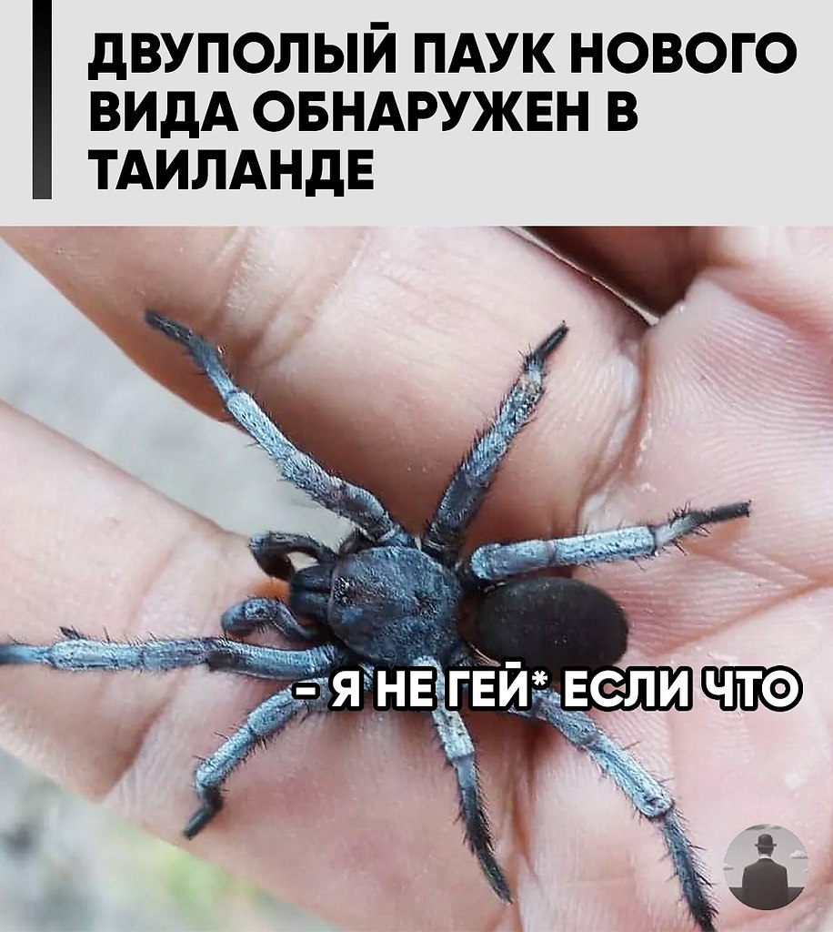 ������, ���������� � �������� ����� ��������, ���������� ����� ��� �����, ���������� �������� ...