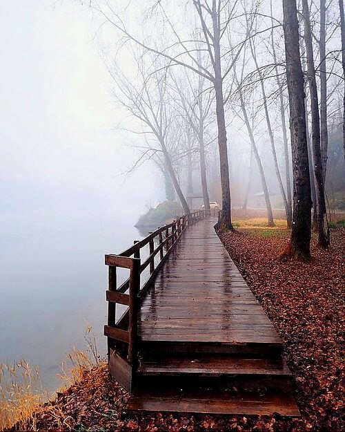   ,  ,  ,     .   ,  ...