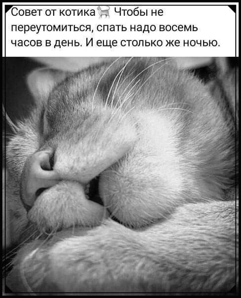 ��� ���� - 19 ������� 2025 � 23:12