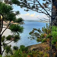 ����, 42 ����, ���������