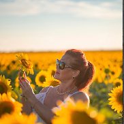 ����, 61 ���, ���������