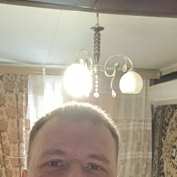 , 41, 