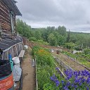 ���� Revaz, �����, 41 ��� - ��������� 23 ������� 2025