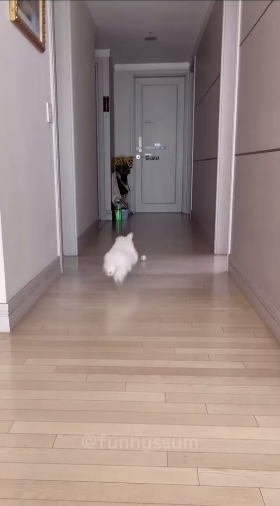 Какие странные игры - 2