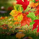 ���� �������, �������, 52 ���� - ��������� 18 ������ 2023 � ������ ������ ��������