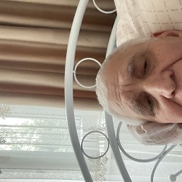 , 66, 