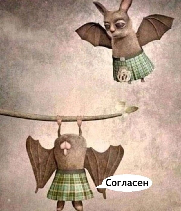  - 13  2025  12:01 - 2